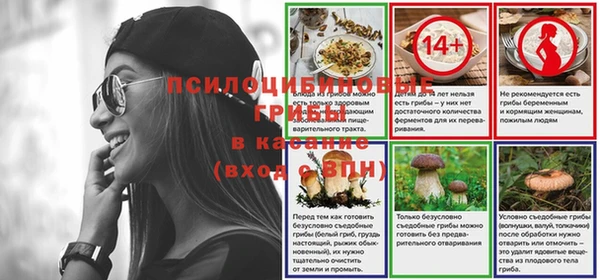 дживик Баксан