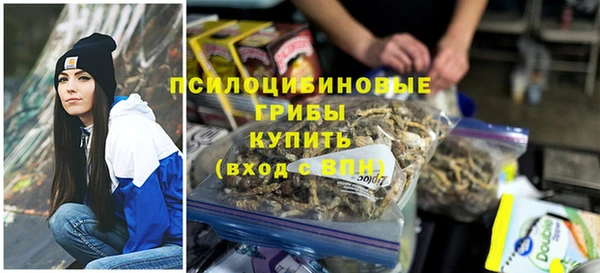 дживик Баксан