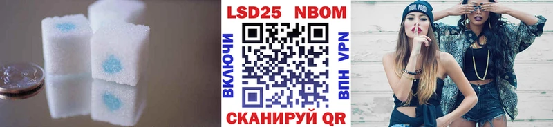 MEGA как зайти  Светогорск  LSD-25 экстази ecstasy 